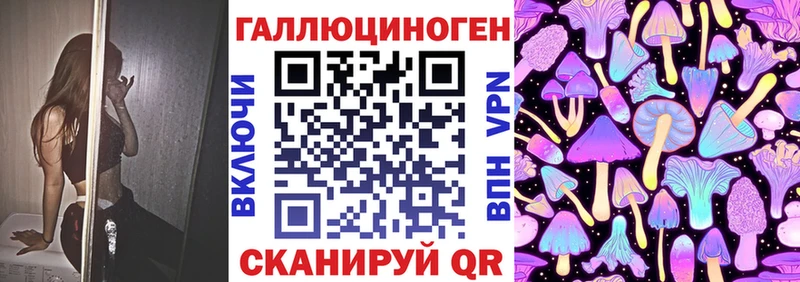 Псилоцибиновые грибы Psilocybe  Россошь 